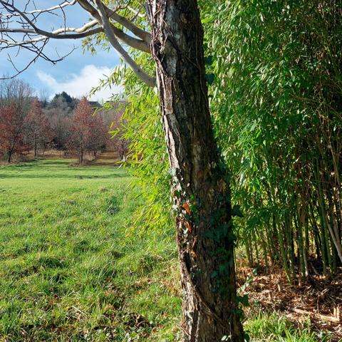 Maison à vendre 7 pièces MONTAUBAN (82)