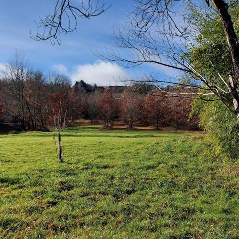 Maison à vendre 7 pièces MONTAUBAN (82)