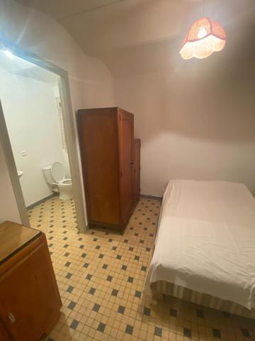 Maison de village avec grand terrain et gites