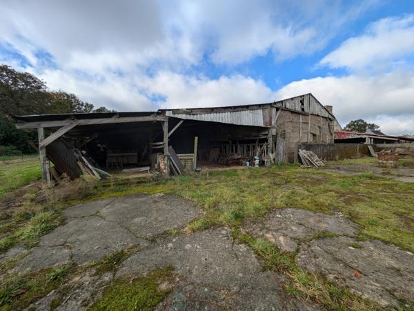 Maison en pierre avec dépendances, hangars, 5000 m2 de terrain