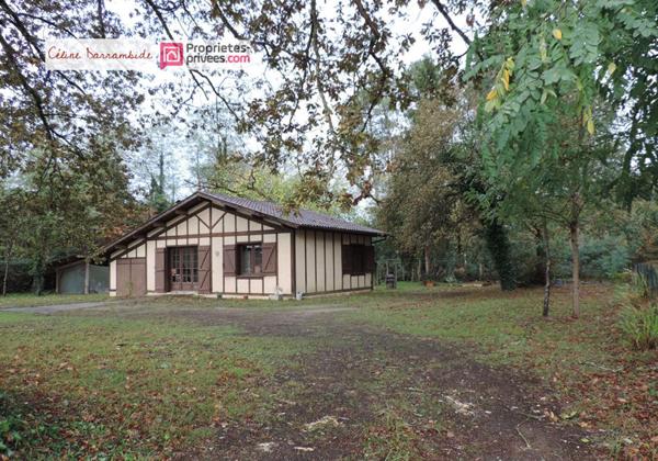 Jolie maison dans bel environnement