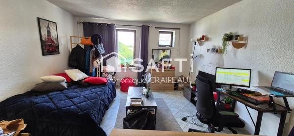 Studio proche lycée dans résidence sécurisée, place de parking libre, avec locataire en place.