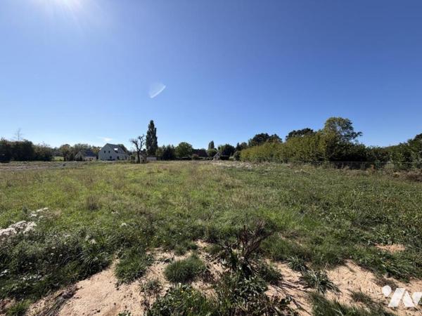 Saint-Étienne-la-Thillaye : 8 terrains à bâtir viabilisés d'environ 1 000 m²