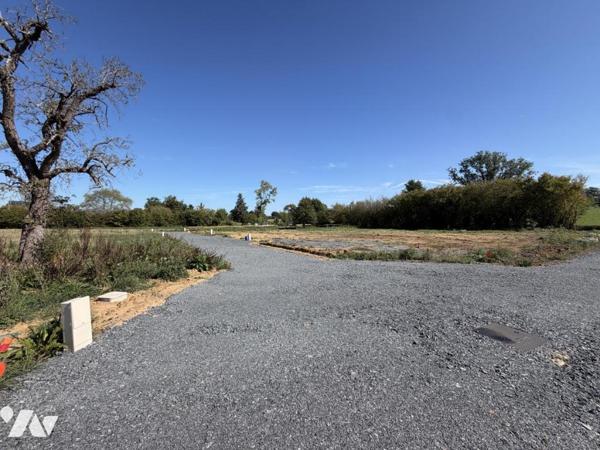 Saint-Étienne-la-Thillaye : 8 terrains à bâtir viabilisés d'environ 1 000 m²