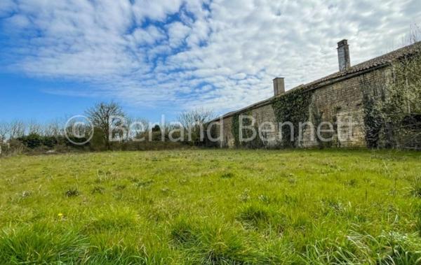 Vente Terrain Chef-boutonne   