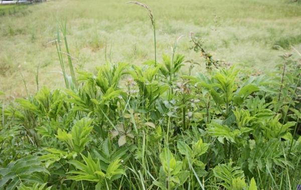 Vente Terrain Duravel