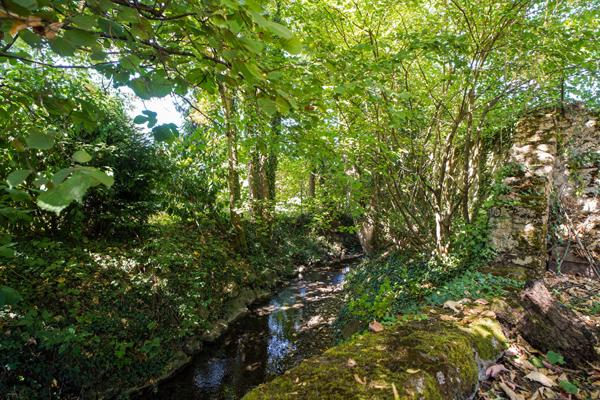 Une parenthèse de nature au coeur de Ville