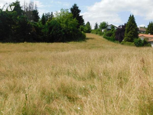 Terrain viabilisé 700 m² - Vue dégagée