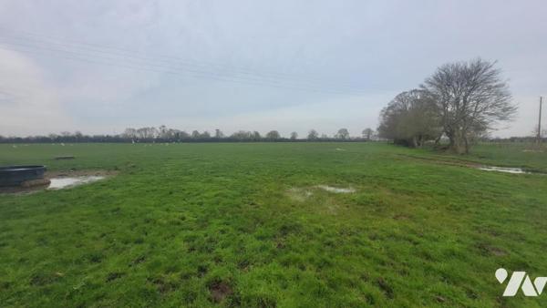 EXCLUSIVITE NOTAIRE-EXPLOITATION AGRICOLE-48HA41A49CA-REF:VDL2074