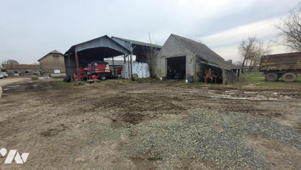 EXCLUSIVITE NOTAIRE-EXPLOITATION AGRICOLE-48HA41A49CA-REF:VDL2074