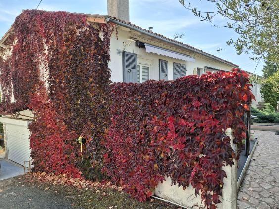 Vente de la nue-propriété d'une jolie maison à CIVRAY (86)