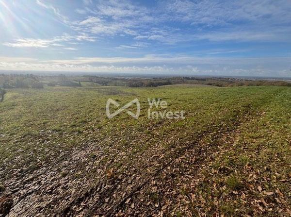 À VENDRE – Terrain exceptionnel divisible en 4 lots – Quartier très prisé de Montauban