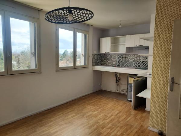 Appartement à LIMOGES, 87000 - 1 pièce 20m²