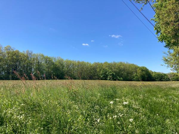 Terrain constructible