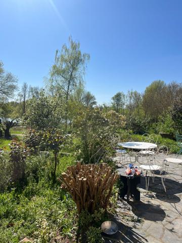 Chalonnes-sur-Loire (49290) Maison bord de loire