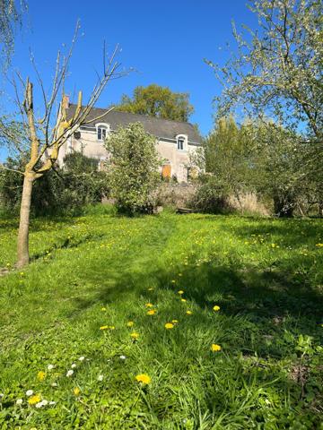 Chalonnes-sur-Loire (49290) Maison bord de loire