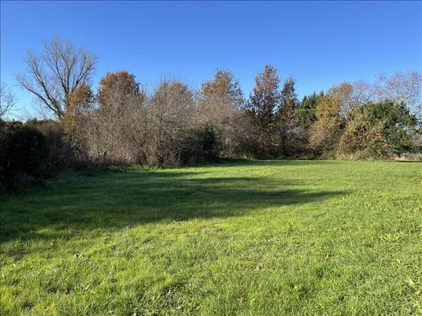 Terrain à vendre |  Campsas |  1300 m²