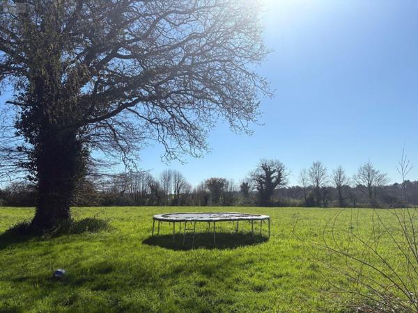Maison à vendre à Rougé en Loire-Atlantique (44660), ref : 44072-38