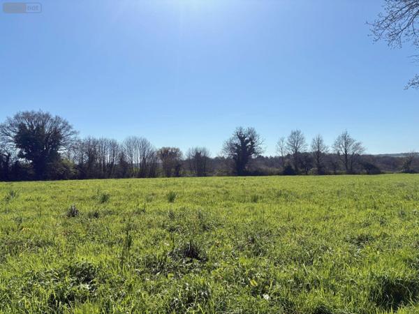 Maison à vendre à Rougé en Loire-Atlantique (44660), ref : 44072-38