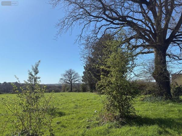 Maison à vendre à Rougé en Loire-Atlantique (44660), ref : 44072-38