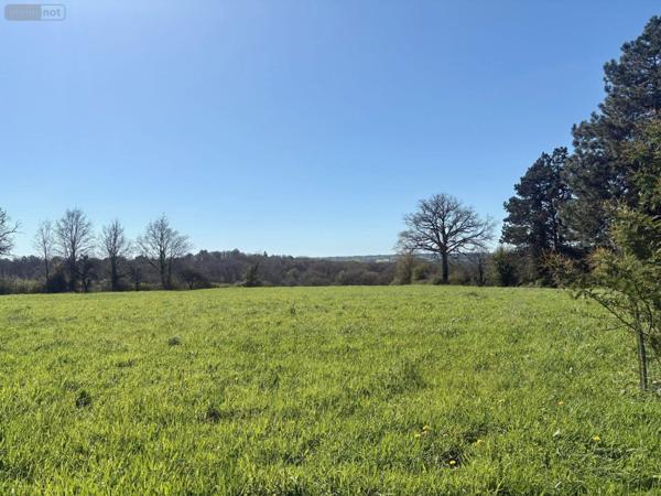 Maison à vendre à Rougé en Loire-Atlantique (44660), ref : 44072-38