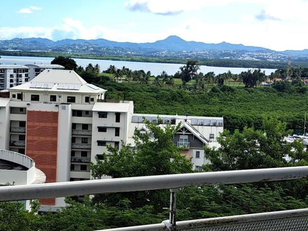 Appartement t5 Duplex Secteur Etang Abricot Superficie 110 m2 terrasse 41 m2