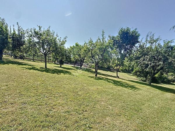 A vendre magnifique maison 5 chambres de 227 m² à Champigné, avec grand terrain de plus de 4000 m²