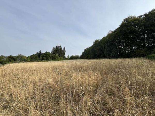 Terrain à vendre 27 500 € Savennes 2803 m² DPE