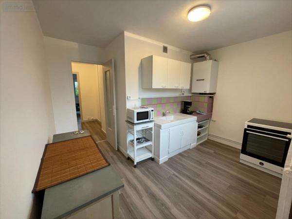 Appartement à louer à Dole dans le Jura (39100), ref : 39033-976110