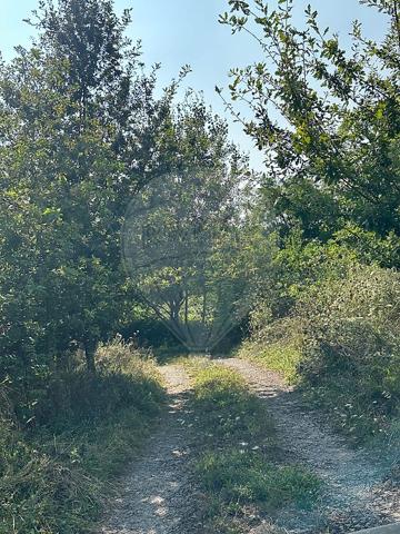 Maison  en vente - Saône-et-Loire - 71