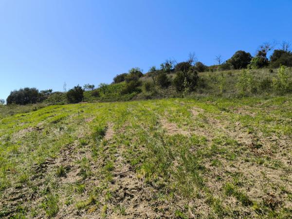 Terrain à vendre    Limoux