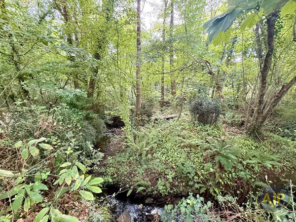 Vente maison Saint Jean De Boiseau : 247 310 € - AJP Immobilier Sainte-Pazanne