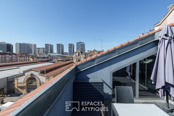 Hôtel particulier et sa terrasse sur les toits