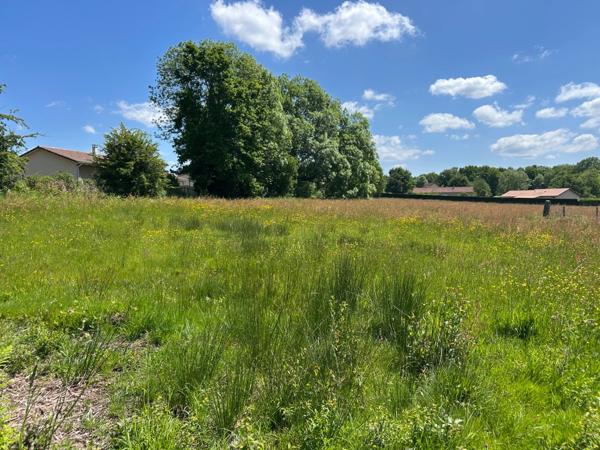 Terrain à vendre de 2 706,00 m² CHATEAUPONSAC (87)