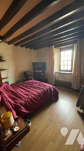 JANVILLE EN BEAUCE 2' Maison de caractère avec parc arboré