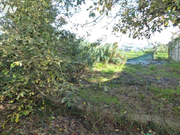 VENTE MAISON INDIVIDUELLE - CONTEST