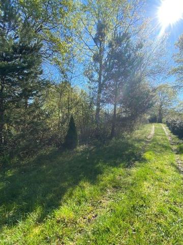 Terrain de loisirs - Bois - Etangs à vendre à Saint-Genou dans l'Indre (36500), ref : 1052374