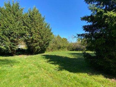 Terrain de loisirs - Bois - Etangs à vendre à Saint-Genou dans l'Indre (36500), ref : 1052374