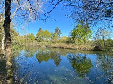 Terrain de loisirs - Bois - Etangs à vendre à Saint-Genou dans l'Indre (36500), ref : 1052374