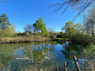 Terrain de loisirs - Bois - Etangs à vendre à Saint-Genou dans l'Indre (36500), ref : 1052374