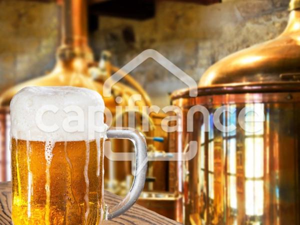 Proche de LILLE (59) - Restaurant - Licence IV - 130 couverts en salle + Terrasse 200 m2 sur zone commerciale