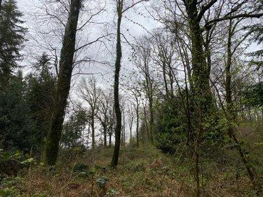 Terrain de loisirs - Bois - Etang à vendre à Champ-du-Boult dans le Calvados (14380), ref : 14076-5853