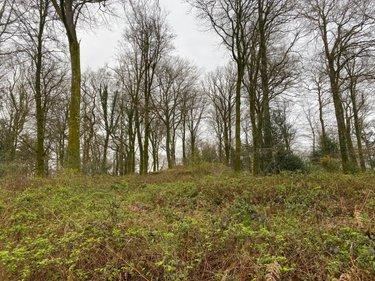 Terrain de loisirs - Bois - Etang à vendre à Champ-du-Boult dans le Calvados (14380), ref : 14076-5853
