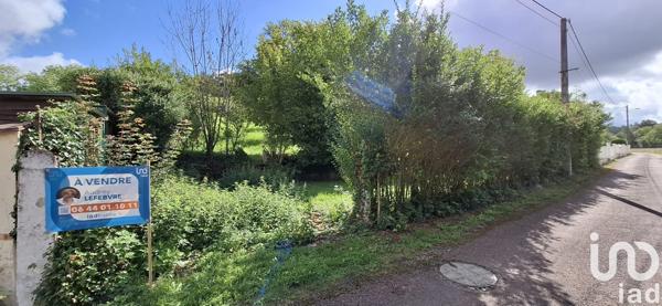 Terrain à vendre 1 400 m² Cunfin