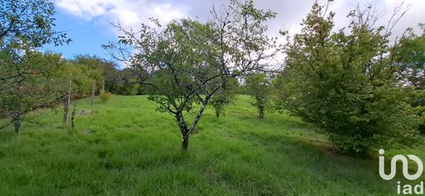 Terrain à vendre 1 400 m² Cunfin
