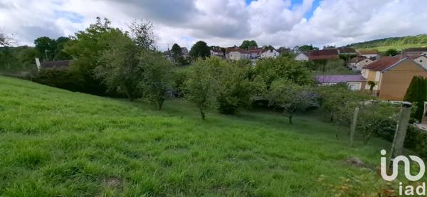 Terrain à vendre 1 400 m² Cunfin