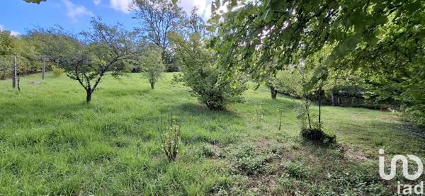 Terrain à vendre 1 400 m² Cunfin