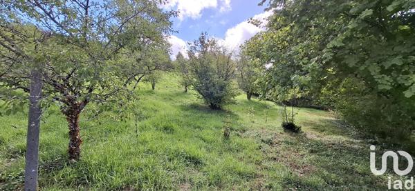 Terrain à vendre 1 400 m² Cunfin