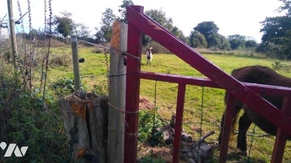 PARCELLE TERRE AGRICOLE BOISEE LA PERNELLE