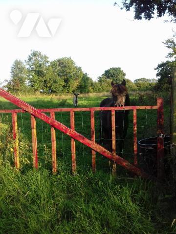 PARCELLE TERRE AGRICOLE BOISEE LA PERNELLE